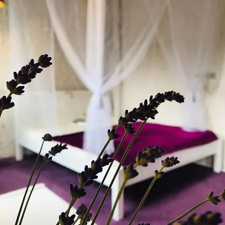 Apartament Diamond Club Połąga